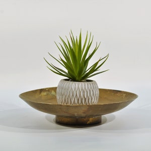 Brass Bowl Succulent Planter Holder/ catchall bowl