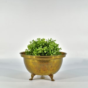 Brass Bowl Succulent Planter Holder/ catchall bowl