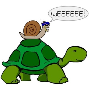 Schnecke Reitet Auf Schildkröte WEEEEE Lustige T-Shirt