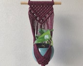 Berry Wall Hanging Planter