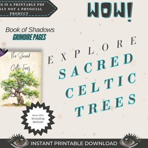 May include: A printable PDF download for a Book of Shadows grimoire with a watercolor illustration of a Celtic tree. The text reads "The Sacred Celtic Trees" and "Bonus PDFs Grounding Methods". The title of the download is "Explore Sacred Celtic Trees".