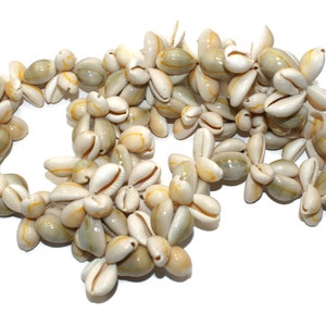 Colar Cowrie Shell Lei vintage branco e rosa pesado feito à mão de 33 polegadas. Concha Lei.