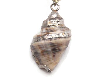 Small Genuine Seashell Pendant, Vintage Gilded Shell on 18" Gold Tone Chain, Boho Style Necklace, Sea Shell & Gold Accents, Daily Wear.