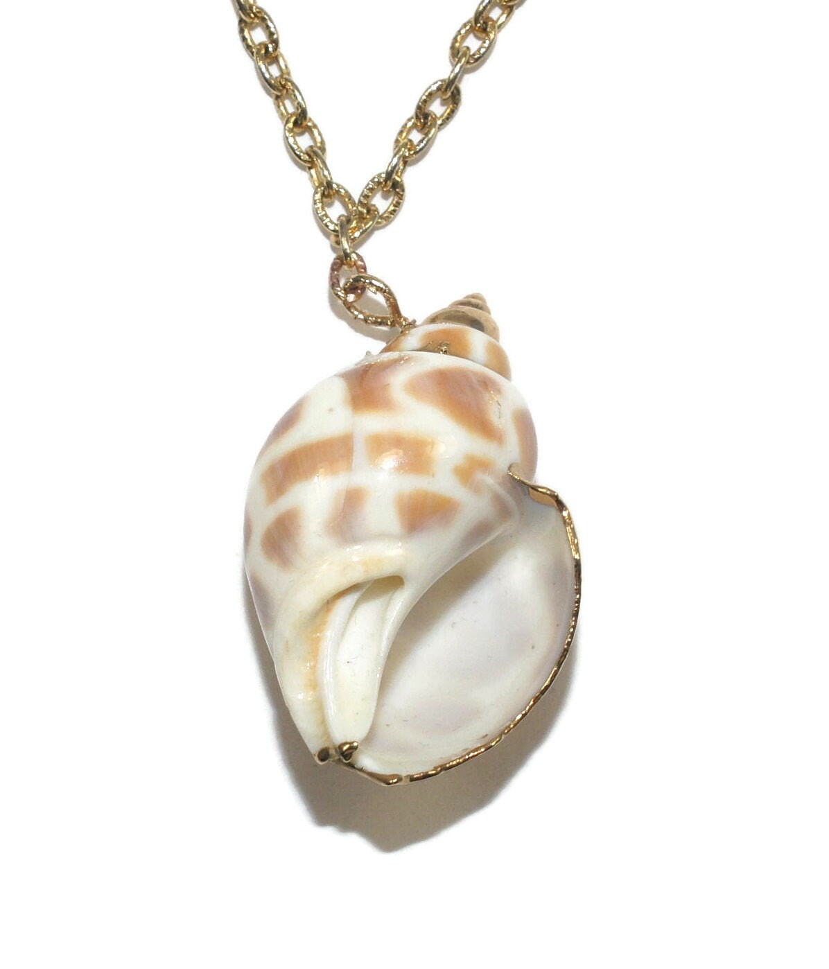 Vintage Natural Conch Shell With Gold Tone Accents Pendant on 18 Inch ...