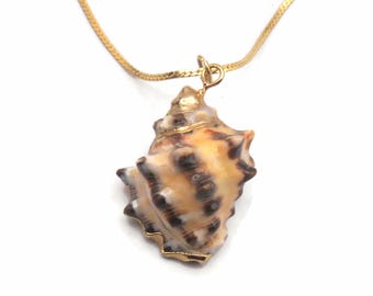 Genuine Seashell Pendant, Vintage Gilded Shell on 24" Gold Tone Chain, Boho Style Necklace, Sea Shell & Gold Accents, Daily Wear.