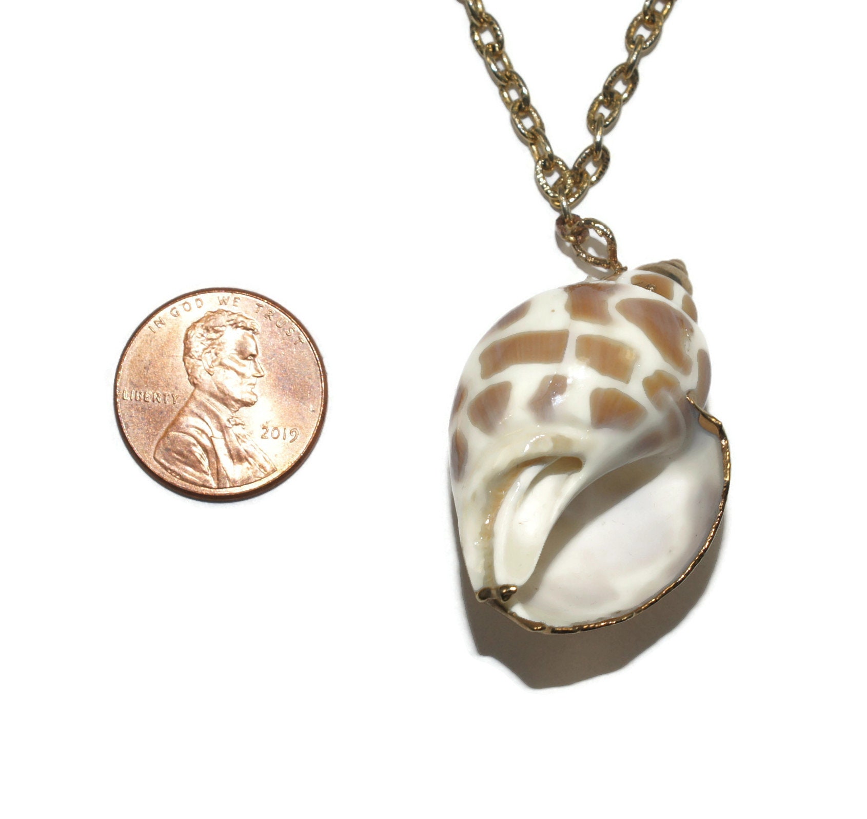 Vintage Natural Conch Shell With Gold Tone Accents Pendant on 18 Inch ...