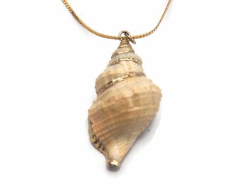 Genuine Seashell Pendant, Vintage Gilded Shell on 24" Gold Tone Chain, Boho Style Necklace, Sea Shell & Gold Accents, Daily Wear.
