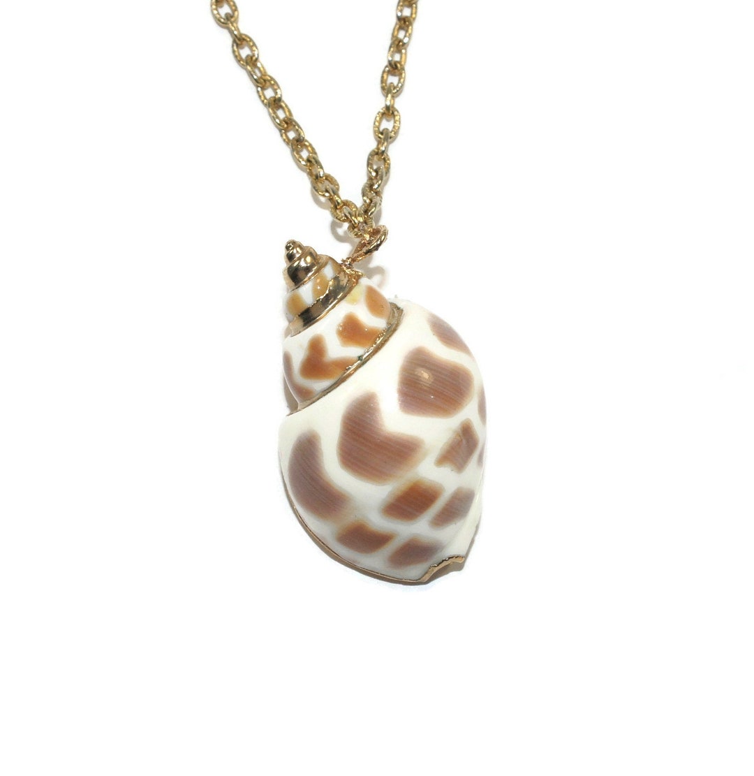 Vintage Natural Conch Shell With Gold Tone Accents Pendant on 18 Inch ...