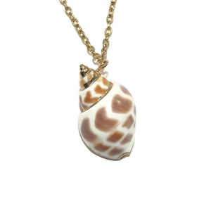 Vintage Natural Conch Shell with Gold Tone Accents Pendant on 18 Inch Tone Chain with Spring Ring Clasp.