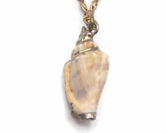 Small Genuine Seashell Pendant, Vintage Gilded Shell on 16" Gold Tone Chain, Boho Style Necklace, Sea Shell & Gold Accents, Daily Wear.