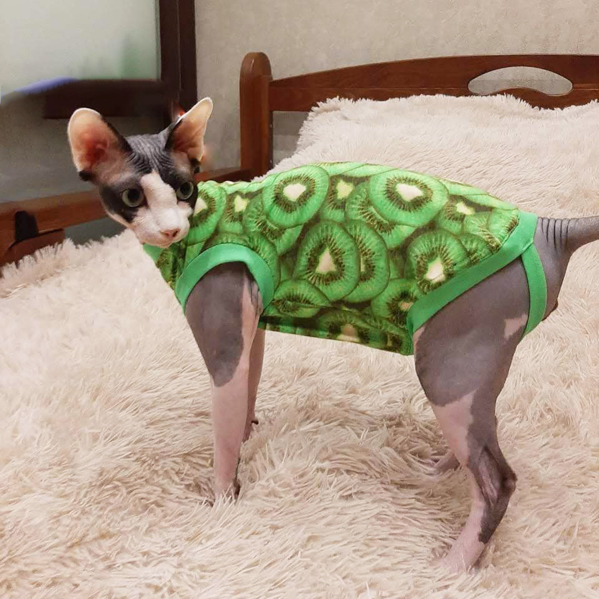 sphynx dress
