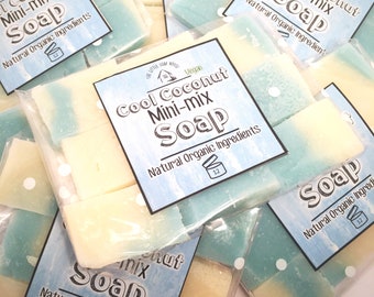 Cool coconut / Homemade organic Coconut mini soap