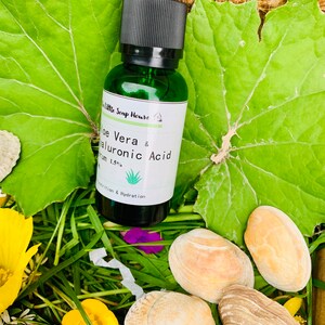 Puede incluir: Una botella de vidrio verde con un gotero negro. La botella est&aacute; etiquetada "Aloe Vera & &Aacute;cido Hialur&oacute;nico Suero 1.5%" y tiene una peque&ntilde;a ilustraci&oacute;n de planta de aloe vera. La botella est&aacute; sentada en una cama de hierba verde y conchas.