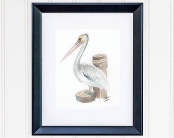 Pelican