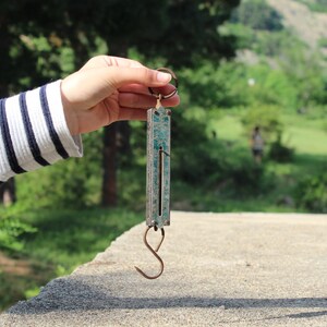 Può includere: Una bilancia a molla vintage con un design turchese e argento, con un gancio in basso e un anello in alto. La bilancia è tenuta contro uno sfondo di alberi verdi e una superficie di cemento.