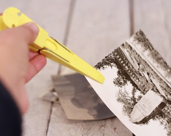 Pinzas de plástico y resorte para laboratorio fotográfico vintage
