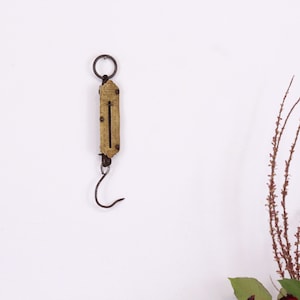 Antique Hughes Pocket Scale: German Brass Hook Balance, 1900s