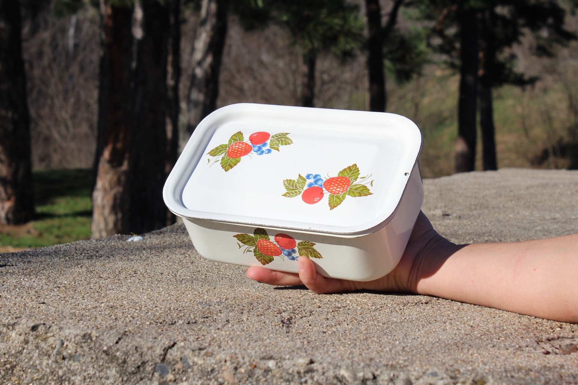 Vintage White Enamel Box With Lid, Picture Strawberry, Refrigerator Box ...