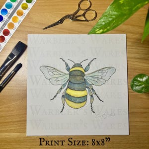 North American Bumblebee Bumble Bee Watercolor Art Giclee Print Available in 8x8 and 5x7