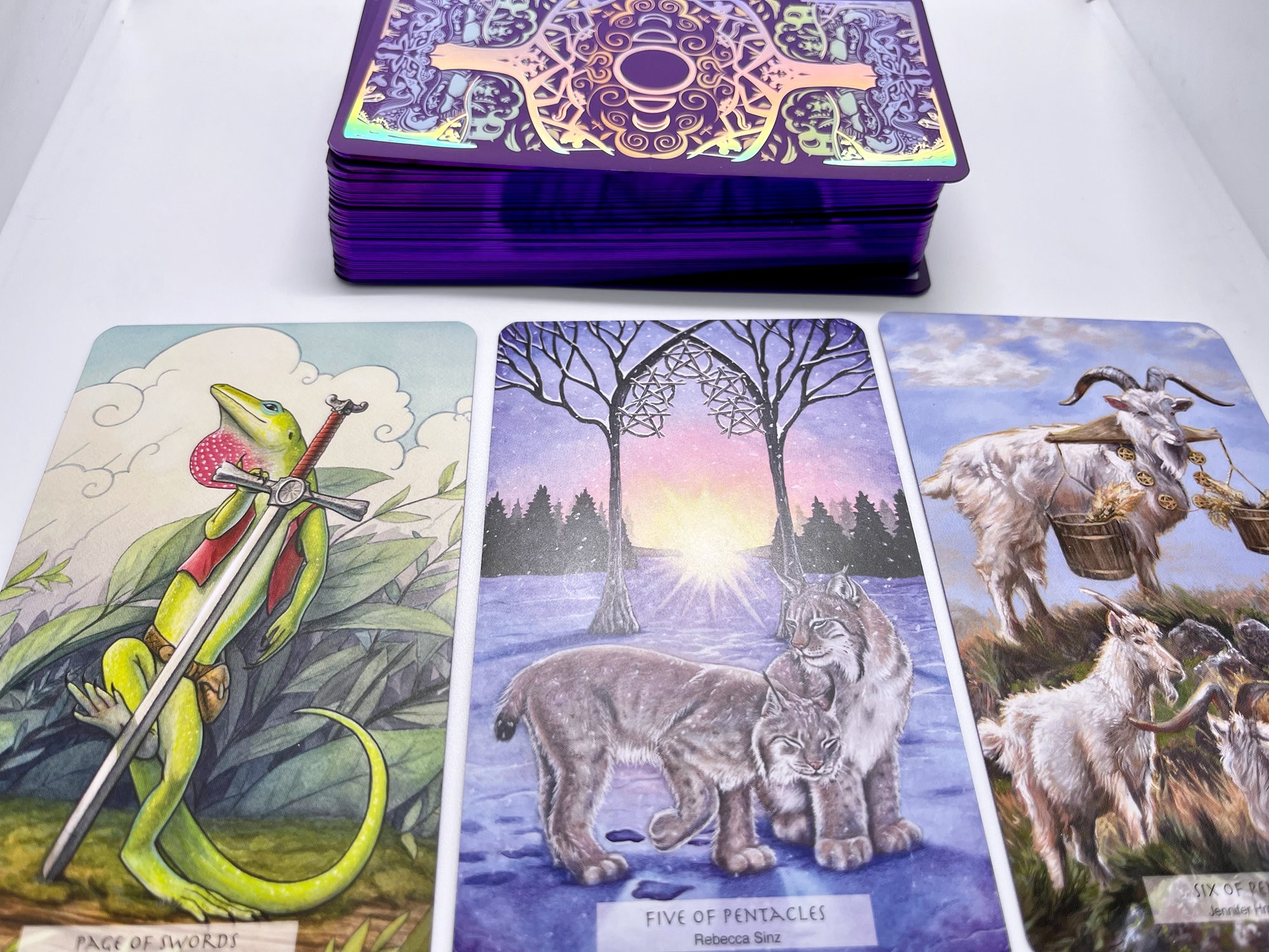 希少激レア動物タロット　Tarocco degli  animali LE - 78 Tarot Animal With PDF Guidebook - Tarot of the Wild