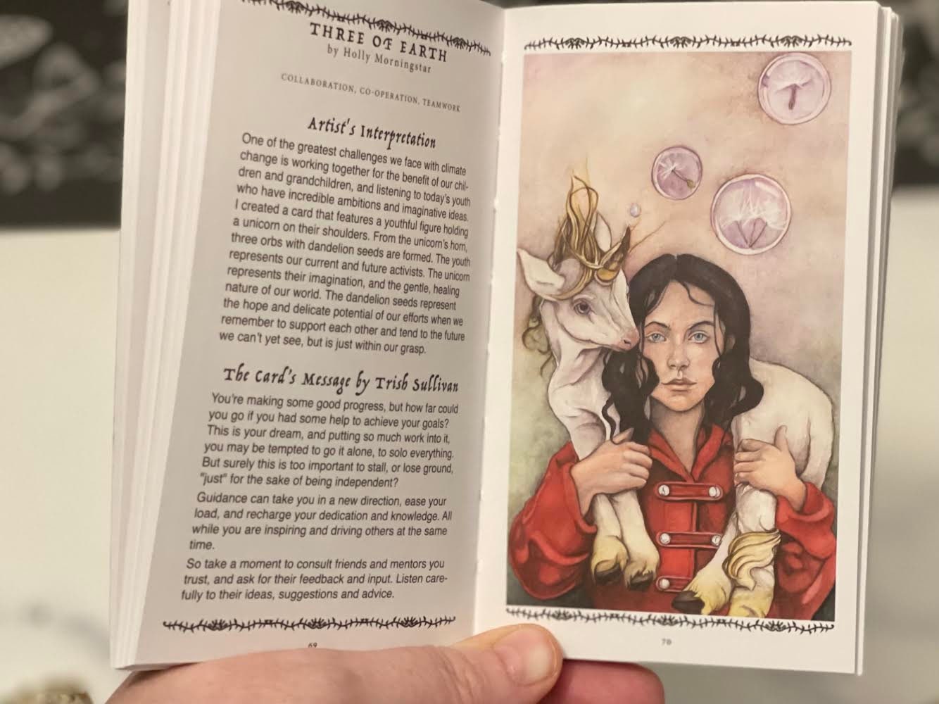 LE 78 Tarot Ecological Tarot of the Healing Earth Gaia - Etsy