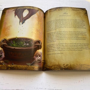 LE - Fools Items Orakel Ratgeber - Magisches Orakel, Fantasy Orakel, Orakel Art, Indie Deck, 78Tarot, Orakelkarten