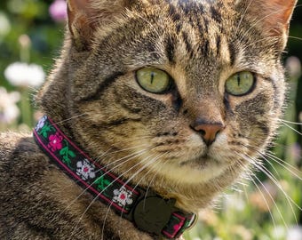 Gesticktes rosa und weißes Blumen-Katzenhalsband | Floral Ausreißer Halsband | Verstellbares Halsband mit Glocke | Mehrere Größen | Süsser Girly Kragen