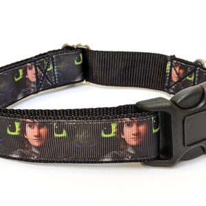 How to Train Your Dragon Dog Collar - Hiccup and Toothless HTTYD Pet Collar