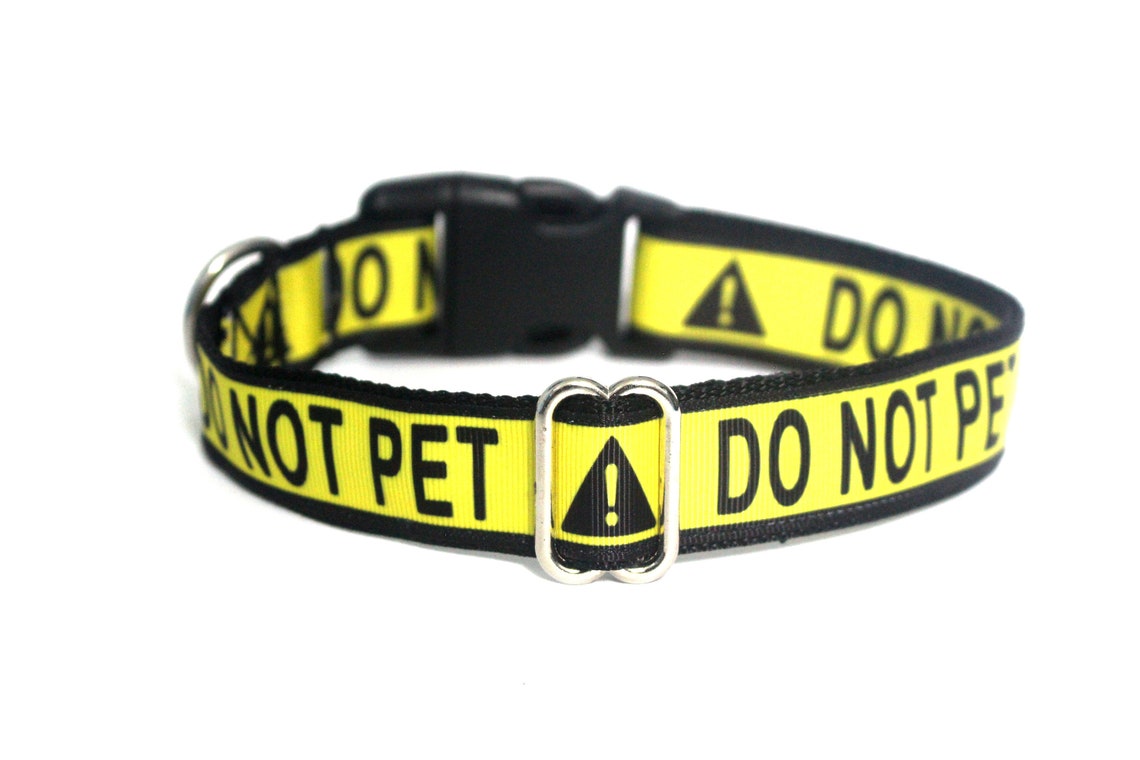 Do Not Pet Dog Collar Yellow and Black Caution Training or Etsy