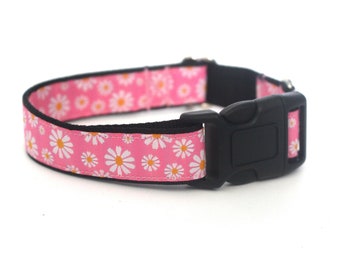 Summer Daisies Pink Dog Collar - Floral Spring Flower Collar for Girl, Female Dogs