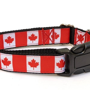 May include: A red, white and black dog collar with a Canadian flag design. The collar has a black plastic buckle.