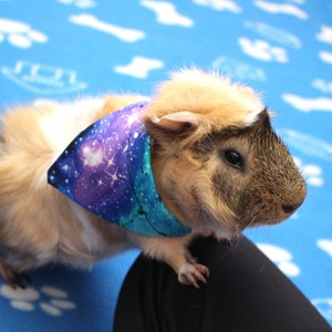 Galaxy Mini Bandana for Guinea Pigs and Bunny Rabbits - Galactic Space Small Animal Bandana for Cute Photos