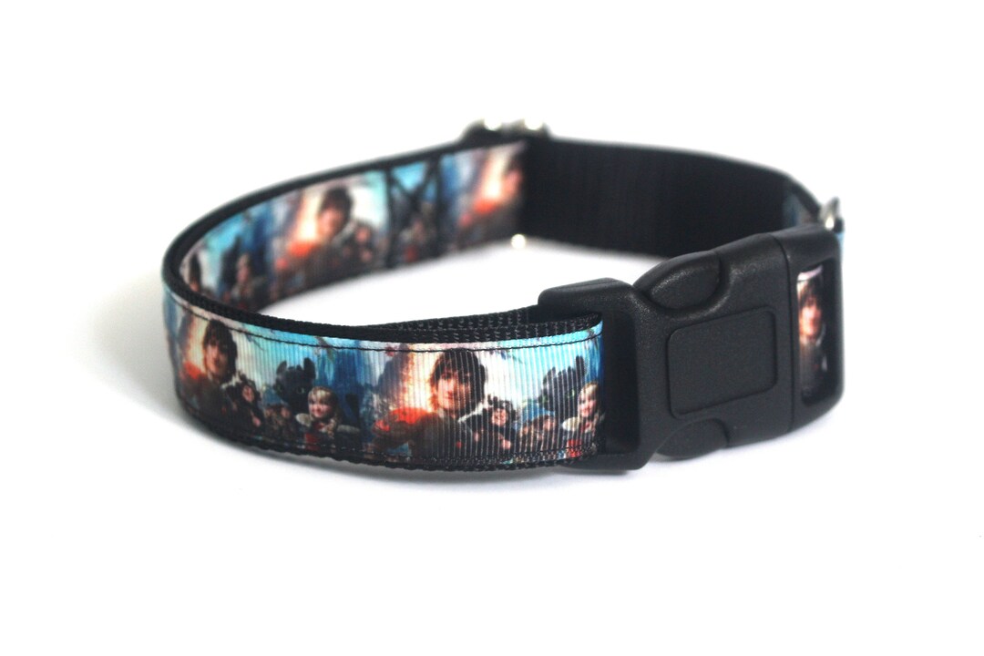How to Train Your Dragon Dog Collar Hiccup Toothless Etsy