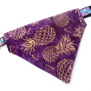 May include: A purple dog bandana with a gold pineapple pattern and a black plastic buckle. The buckle strap has a colorful, patterned design. The bandana is designed to be worn around a dog's neck.