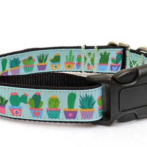 Succulents Dog Collar - Potted Cactus Plants Mint Green Pet Collar - Adjustable & Quick Release