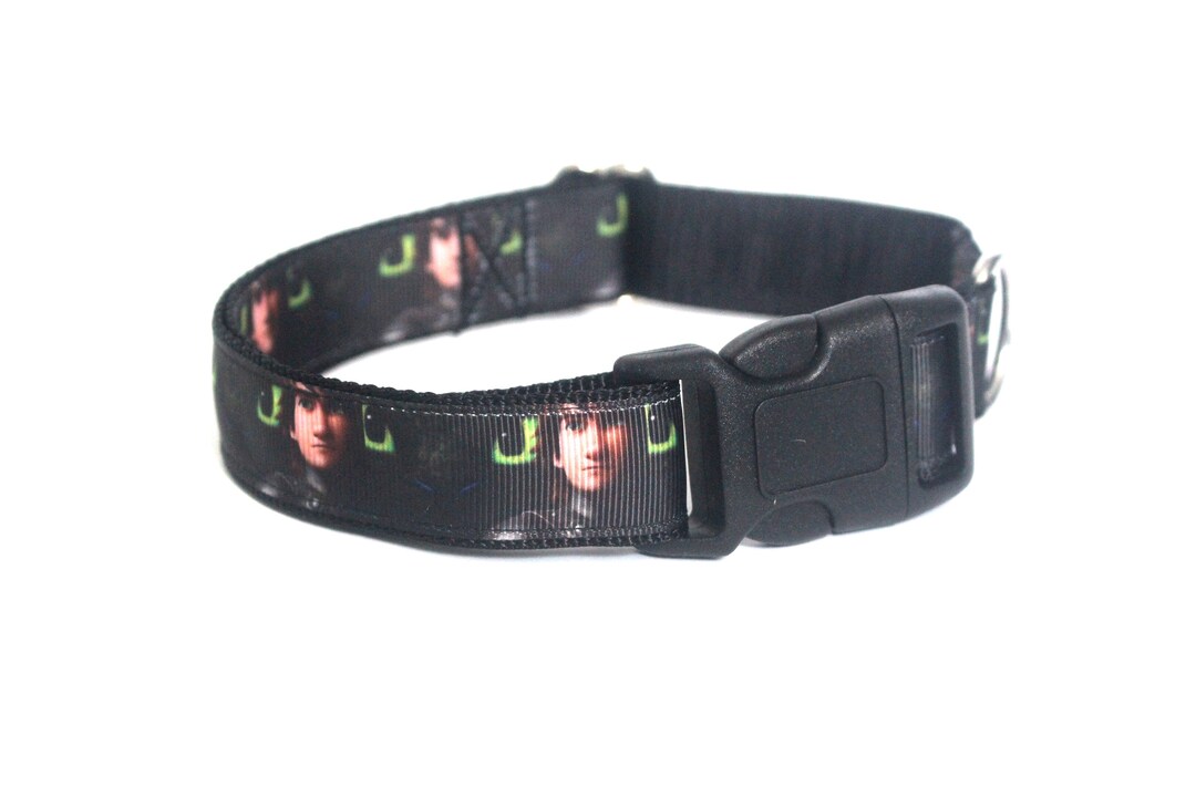 How to Train Your Dragon Dog Collar Hiccup and Toothless Etsy