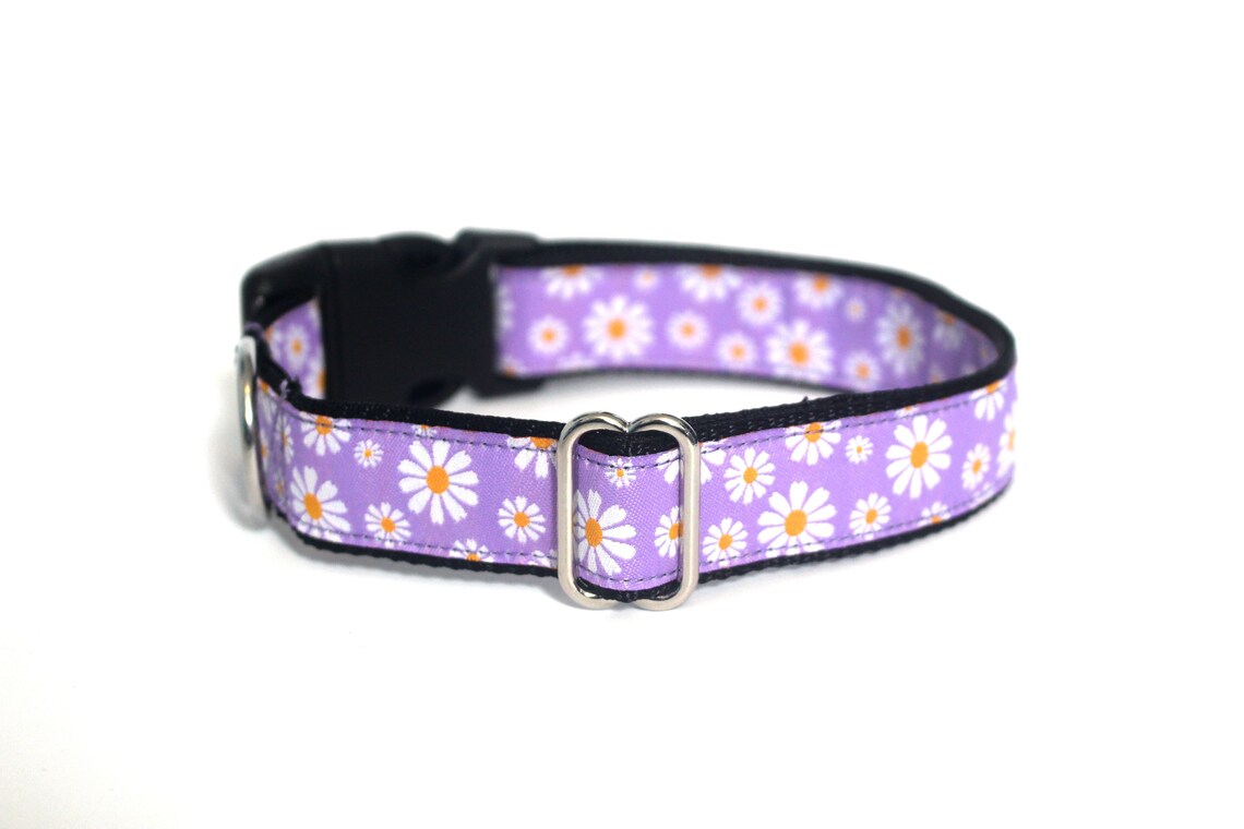 Summer Daisies Purple Dog Collar Flower Floral Pet Collar Etsy