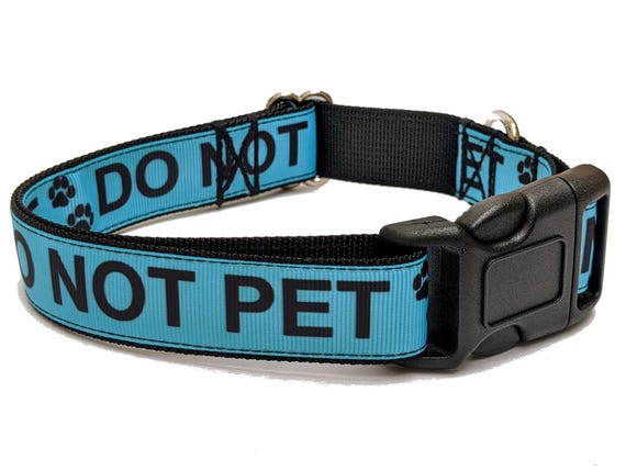 Aggressive dog collar sales