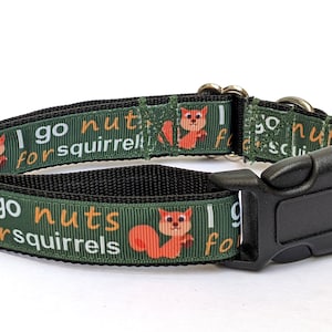 I Go Nuts For Squirrels Dog Collar - Green Fall/Autumn Handmade Cute Pet Collar