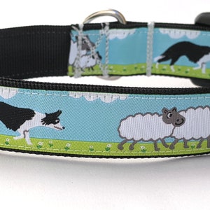 Herding Border Collie and Sheep Dog Collar