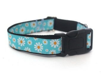 Summer Daisies Blue Dog Collar - Pretty Floral Daisy Flower Collar for Spring
