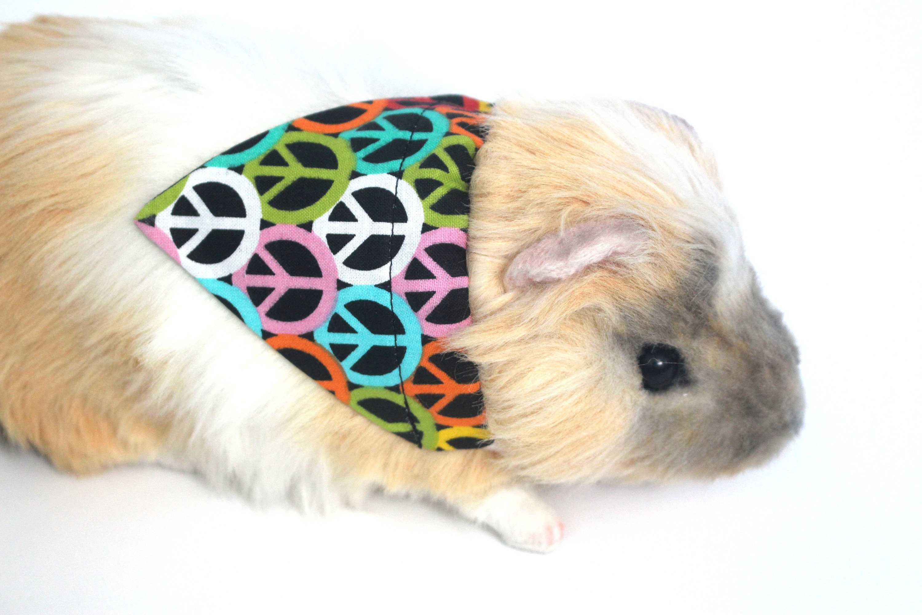 Peace Small Animal Bandana for Guinea Pigs and Bunny Rabbits Cute Colorful Peace Signs Mini Bandana for Photos Etsy Canada