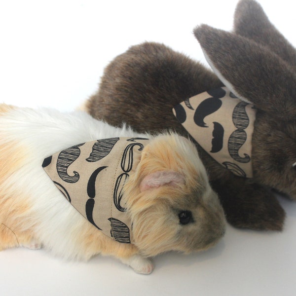 Mustache Mini Bandana for Rabbits and Guinea Pigs - Small Animal Photo Accessory