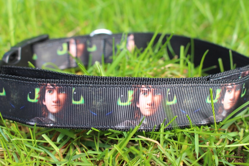 How to Train Your Dragon Dog Collar Hiccup and Toothless Etsy