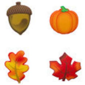 SUGARSOFT Edible Fall Assortment Decorations 12 Pieces!