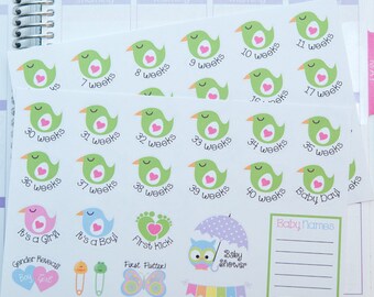 Stickers zwangerschapsplanner: wekelijks aftellen en evenementen