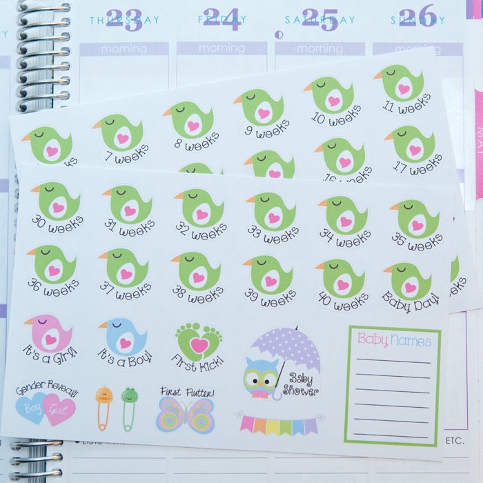 Pregnancy Planner Stickers Weekly Countdown &amp; Events - Etsy