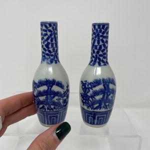 Blue & White Chinese Porcelain Bottles