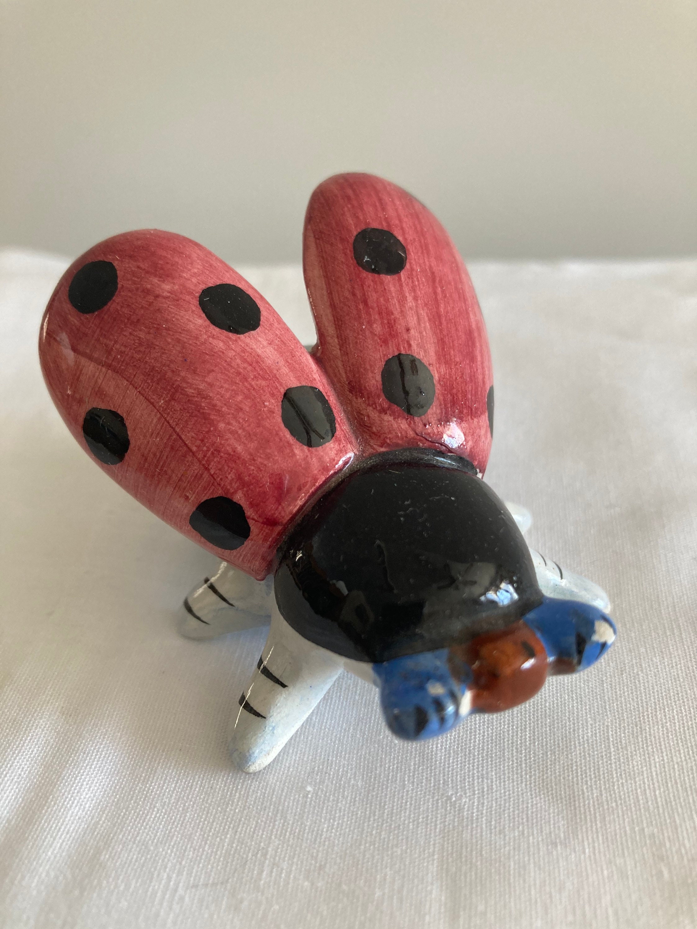 Ladybug Terrarium - Etsy