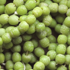 Chartreuse Textured Java Glass Beads - (18pcs) Old Style Indonesian Glass Beads - Primitive Round Etched Glass Bead approx. 9mm - 10mm